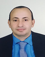 البروفيسور: حامد محمد عبدالعزيز أيوب